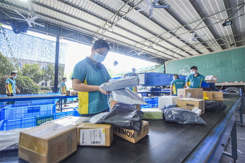 武義農(nóng)村電商 從“個(gè)富”到“共富”，商品房代購代銷開辟鄉(xiāng)村振興新路徑